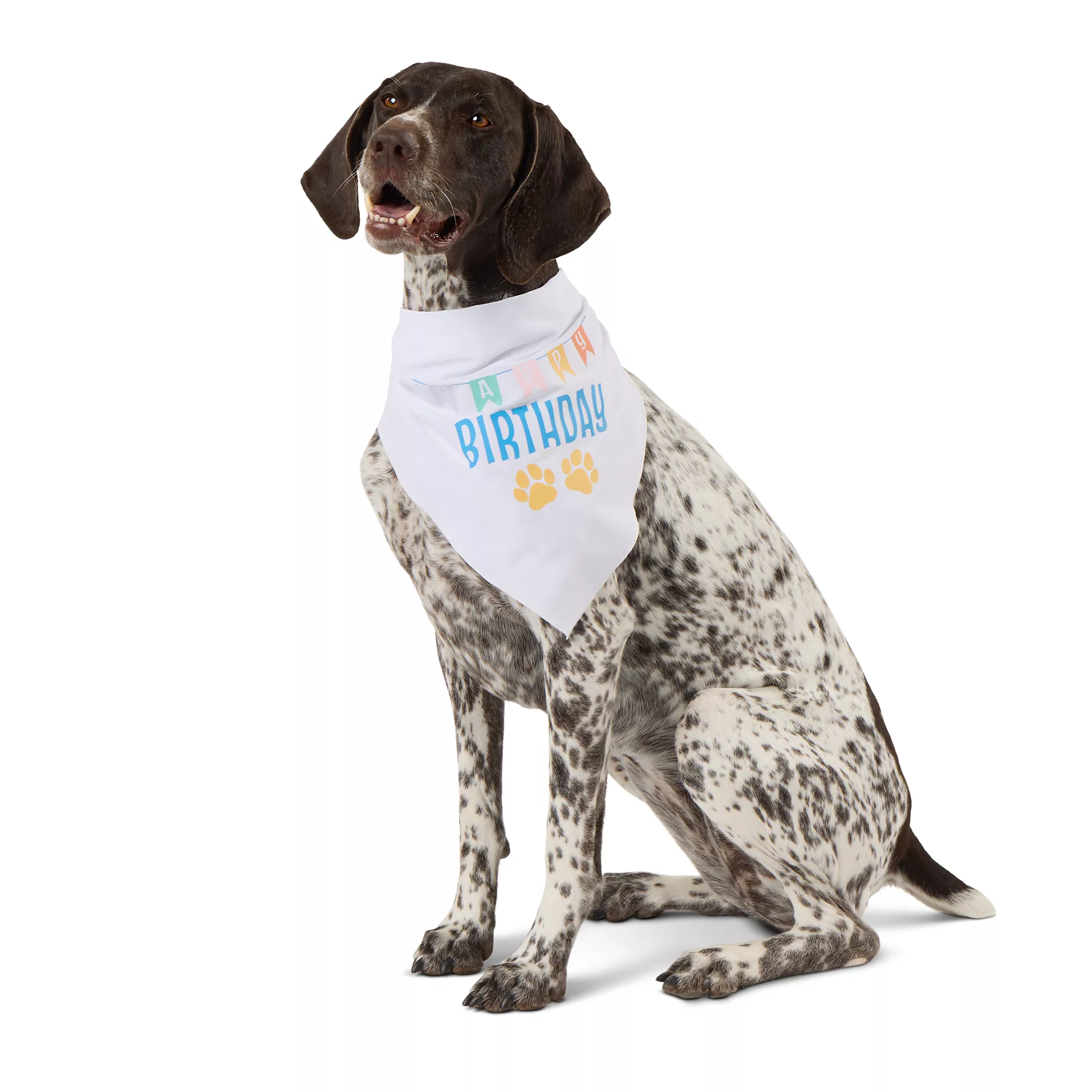 Top Paw® Birthday Dog Bandanas 2 Pack