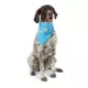 Product Top Paw® Party Pupper Dog Bandanas 2 Pack