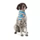Product Top Paw® Party Pupper Dog Bandanas 2 Pack