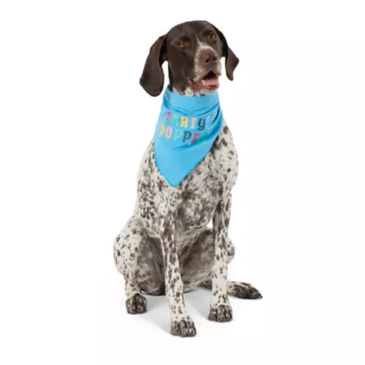 Product Top Paw® Party Pupper Dog Bandanas 2 Pack