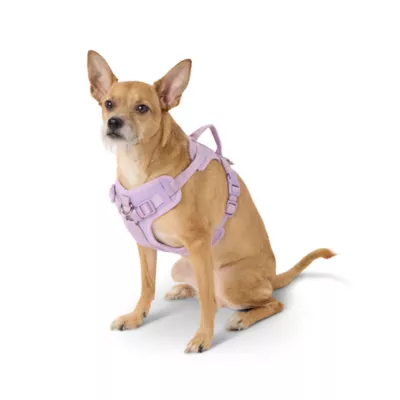 Top Paw® Neoprene Dog Harness, Adjustable, Durable, Comfortable, Multiple Sizes & Colors - Image 1