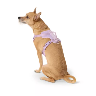 Top Paw® Neoprene Dog Harness, Adjustable, Durable, Comfortable, Multiple Sizes & Colors - Image 2