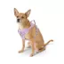Top Paw® Neoprene Dog Harness, Adjustable, Durable, Comfortable, Multiple Sizes & Colors image thumbnail 1