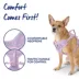 Top Paw® Neoprene Dog Harness, Adjustable, Durable, Comfortable, Multiple Sizes & Colors image thumbnail 4