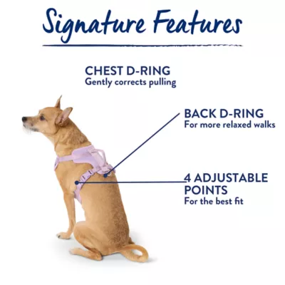 Top Paw® Neoprene Dog Harness, Adjustable, Durable, Comfortable, Multiple Sizes & Colors - Image 7