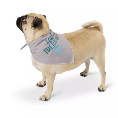 Product Top Paw® Dog Bandanas 2 Pack