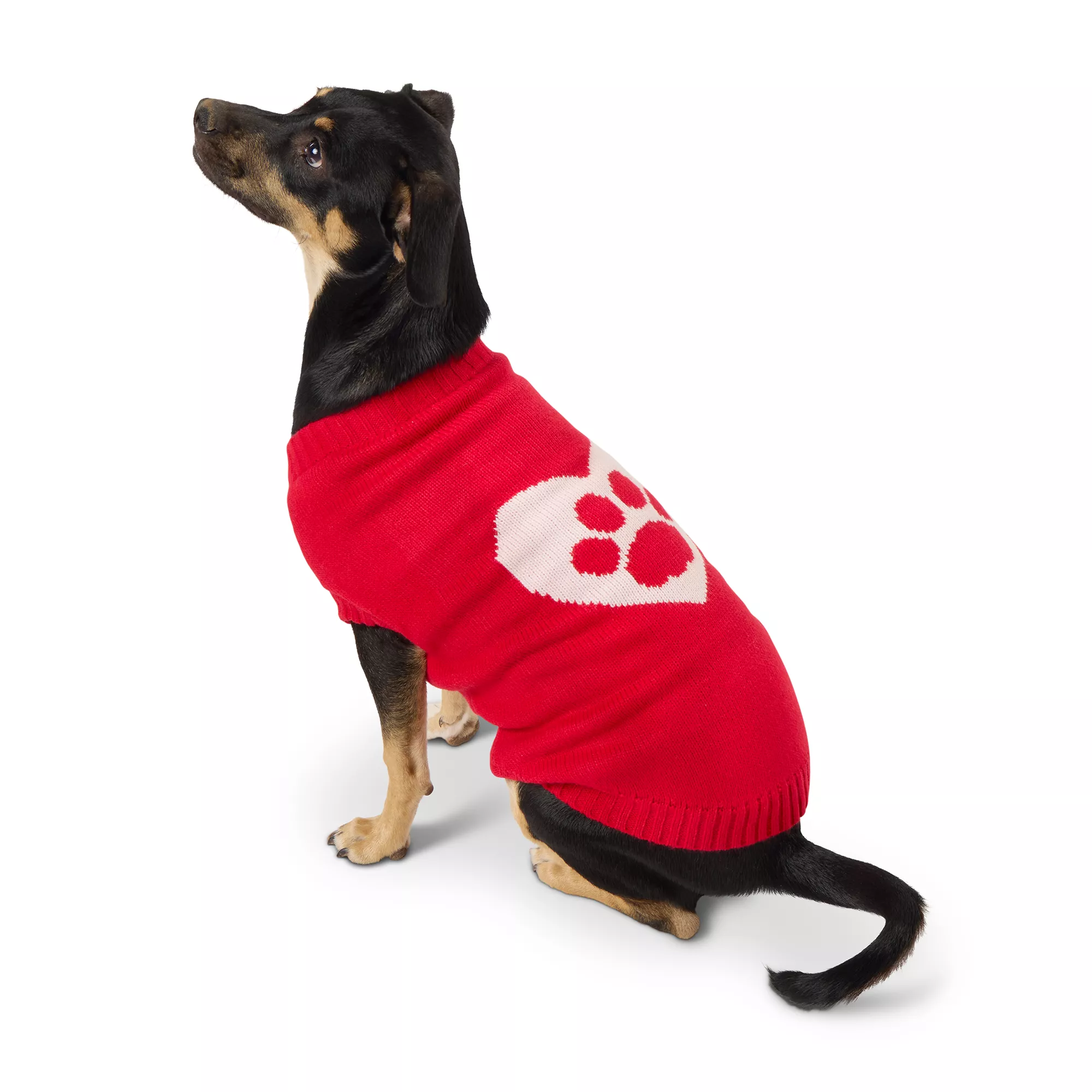 Top Paw® Valentine's Day Sweater