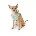 Top Paw® Neoprene Dog Harness, Adjustable, Durable, Comfortable, Multiple Sizes & Colors image thumbnail 1