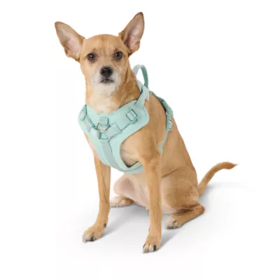 Product Top Paw® Neoprene Comfort Dog Harness