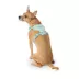 Top Paw® Neoprene Dog Harness, Adjustable, Durable, Comfortable, Multiple Sizes & Colors image thumbnail 2