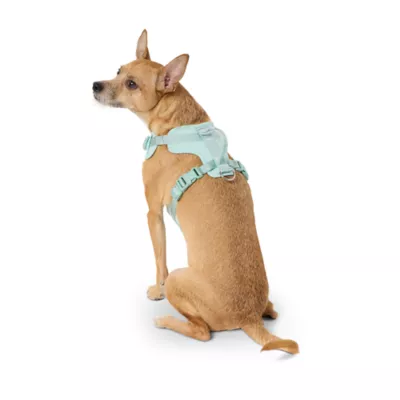Top Paw® Neoprene Dog Harness, Adjustable, Durable, Comfortable, Multiple Sizes & Colors - Image 2