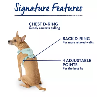 Top Paw® Neoprene Dog Harness, Adjustable, Durable, Comfortable, Multiple Sizes & Colors - Image 7