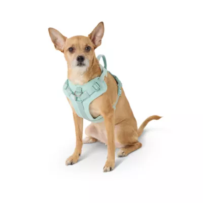 Top Paw® Neoprene Dog Harness, Adjustable, Durable, Comfortable, Multiple Sizes & Colors - Image 1