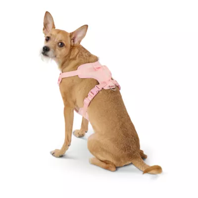 Product Top Paw® Neoprene Comfort Dog Harness