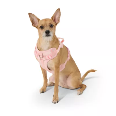 Product Top Paw® Neoprene Comfort Dog Harness