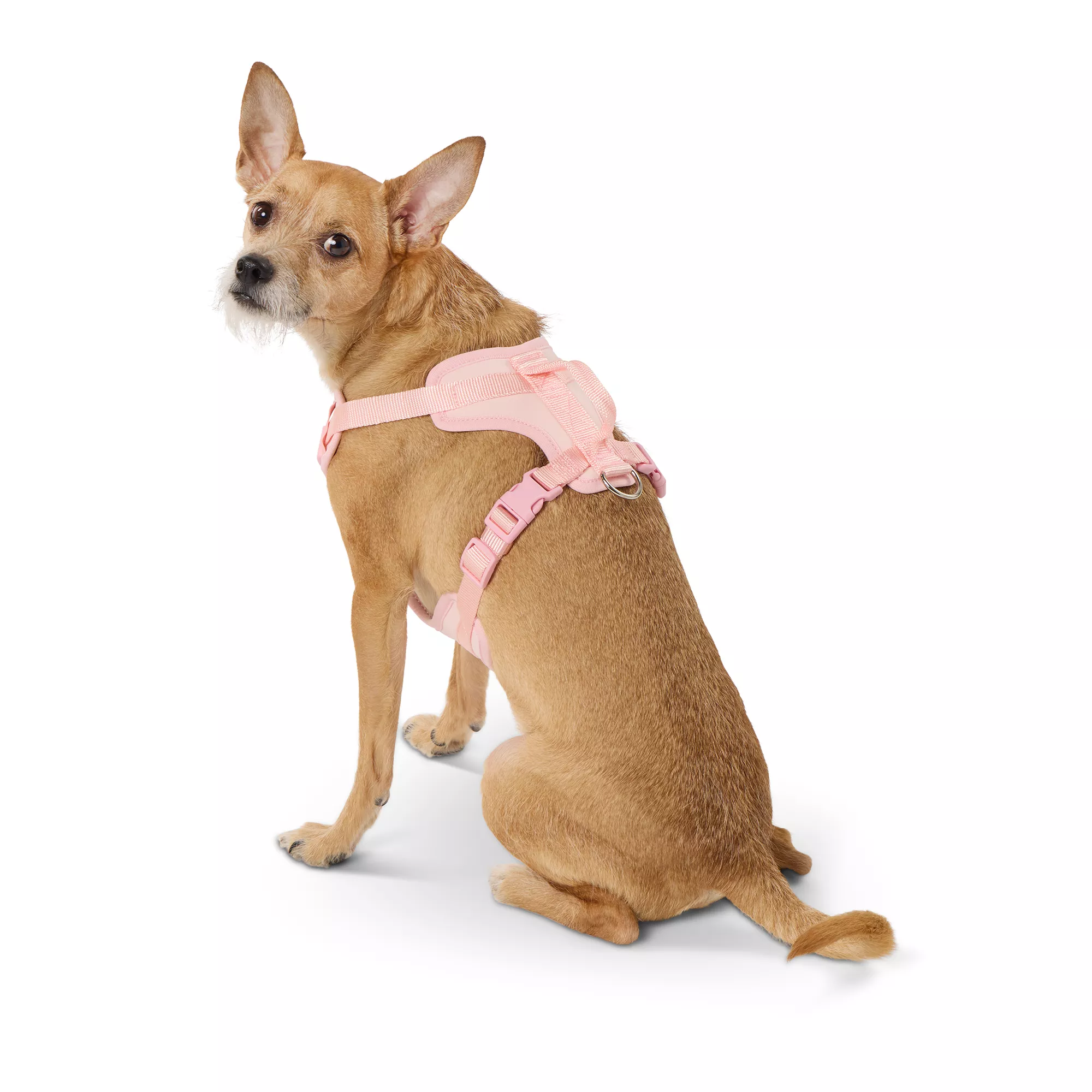 Top Paw® Neoprene Comfort Dog Harness, Pink