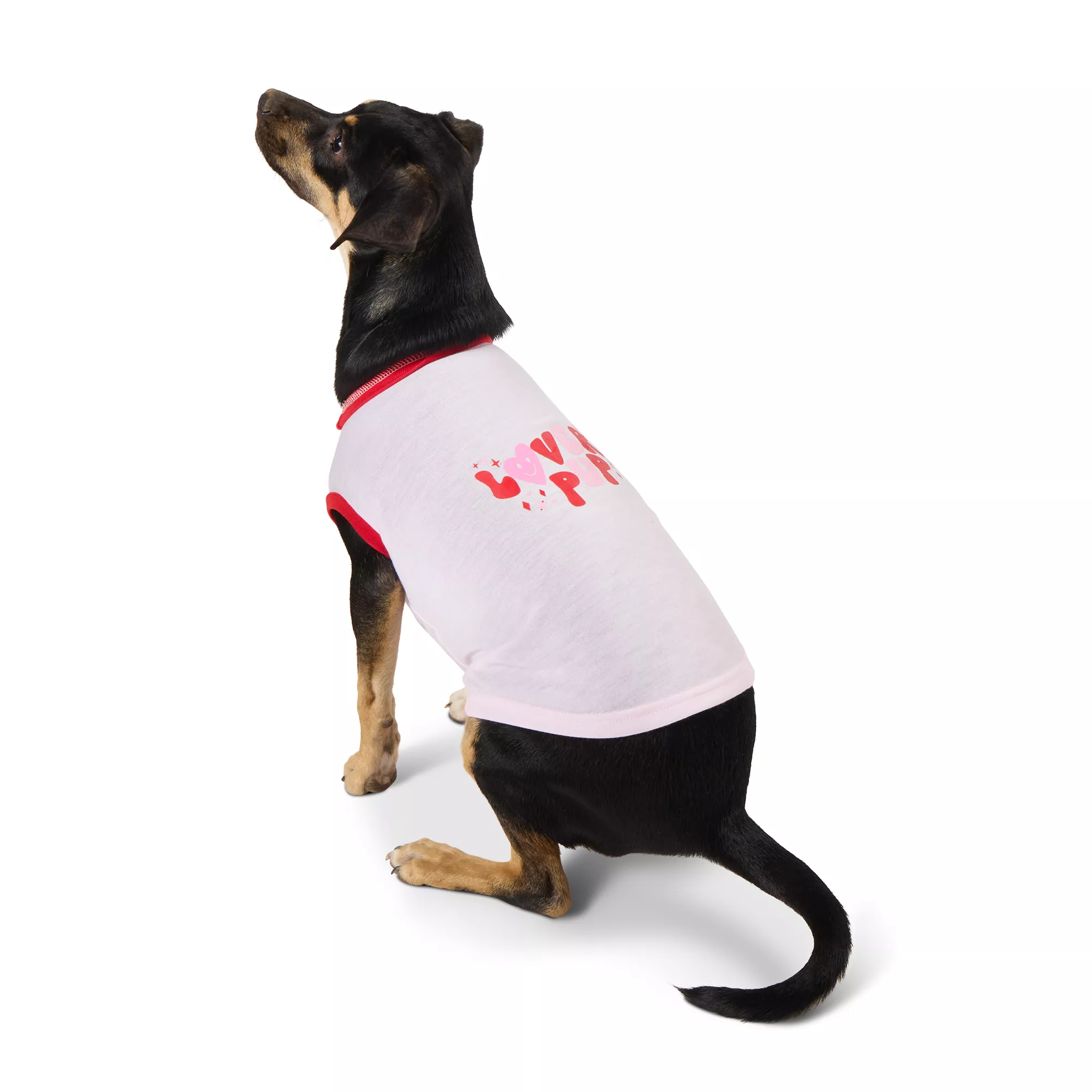 Top Paw® Valentine's Day Dog Tee