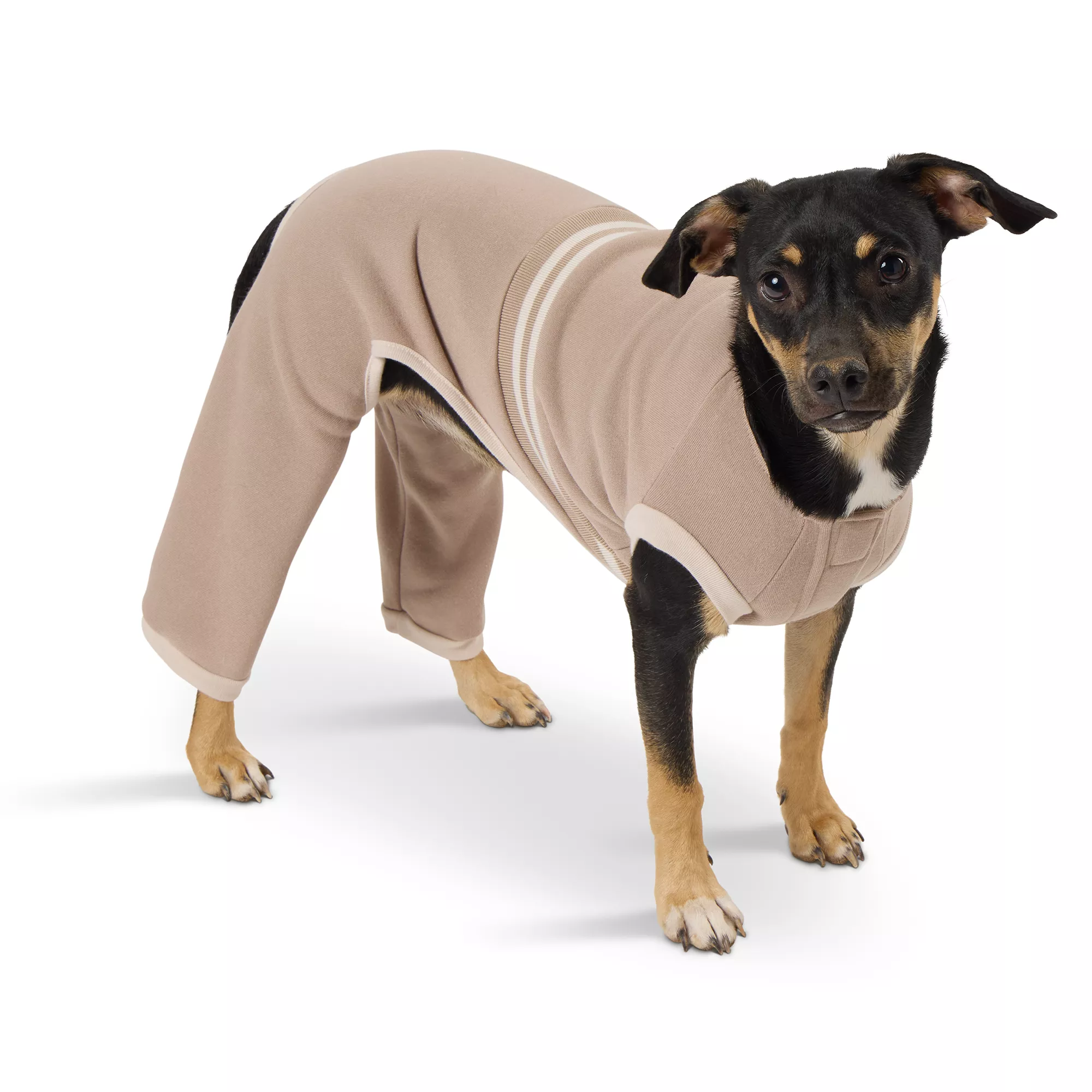 Top Paw® Tan Dog Sweatsuit