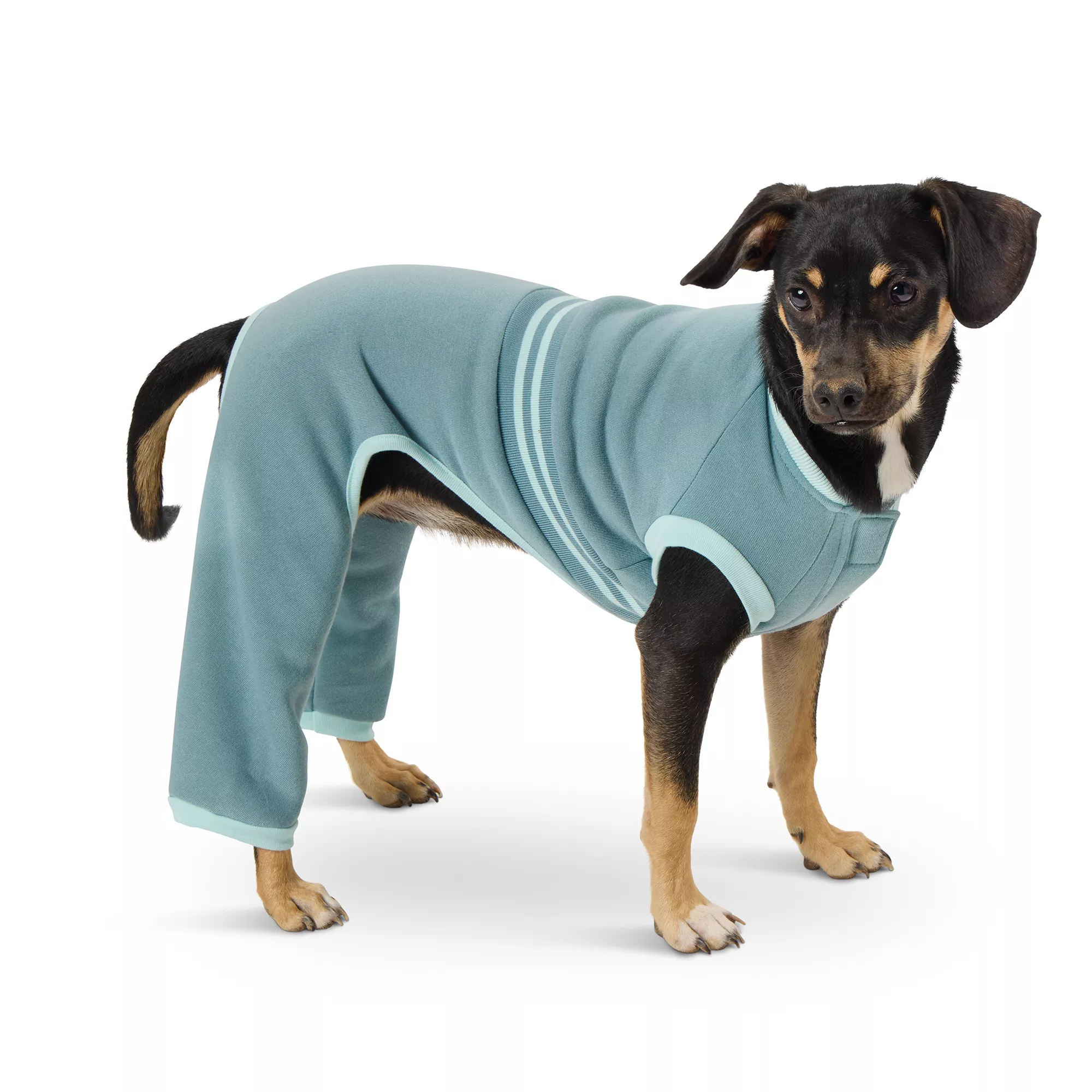 Top Paw® Teal Sweatsuit For Dogs