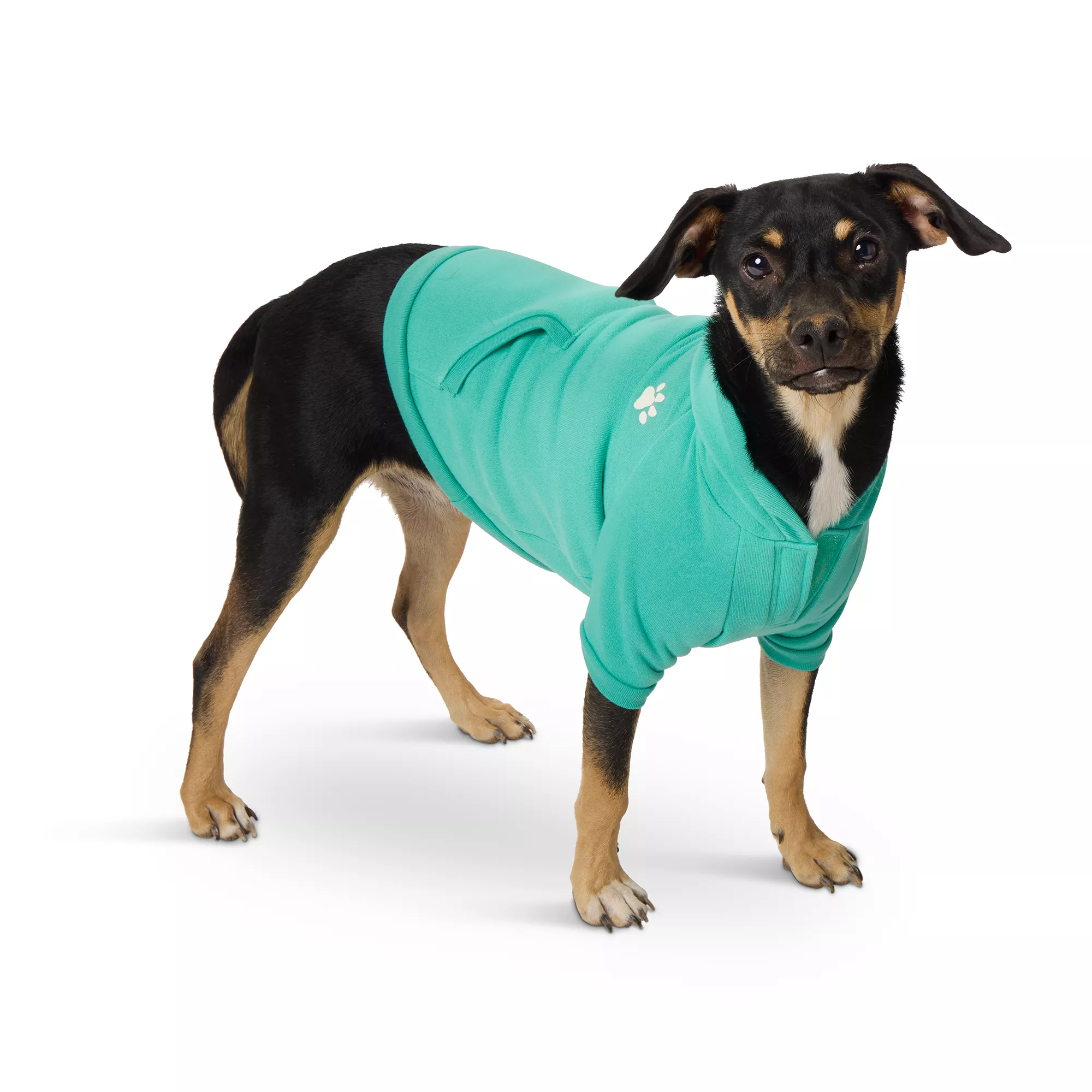 Top Paw® Solid Teal Dog Hoodie