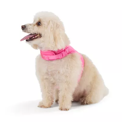 Product Top Paw® Neoprene Vest Dog Harness