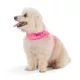Product Top Paw® Neoprene Vest Dog Harness