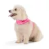 Top Paw® Neoprene Vest Dog Harness image thumbnail 2