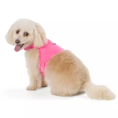 Top Paw® Neoprene Vest Dog Harness - Image 1