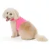 Top Paw® Neoprene Vest Dog Harness image thumbnail 1