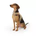Top Paw® Neoprene Vest Dog Harness image thumbnail 2