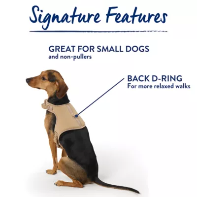 Top Paw® Neoprene Vest Dog Harness - Image 7