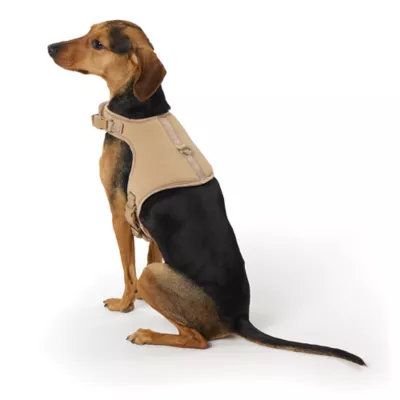 Top Paw® Vest Dog Harness, Comfortable, Adjustable, Neoprene, Multiple Colors, Multiple Sizes - Image 1