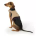 Top Paw® Vest Dog Harness, Comfortable, Adjustable, Neoprene, Multiple Colors, Multiple Sizes image thumbnail 1