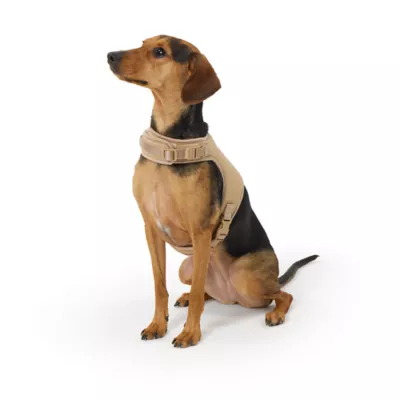 Top Paw® Vest Dog Harness, Comfortable, Adjustable, Neoprene, Multiple Colors, Multiple Sizes - Image 2