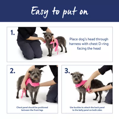 Top Paw® Vest Dog Harness, Comfortable, Adjustable, Neoprene, Multiple Colors, Multiple Sizes - Image 5