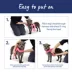 Top Paw® Vest Dog Harness, Comfortable, Adjustable, Neoprene, Multiple Colors, Multiple Sizes image thumbnail 5