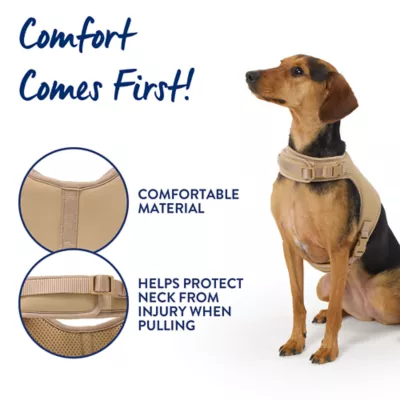 Top Paw® Neoprene Vest Dog Harness - Image 4