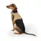 Product Top Paw® Neoprene Vest Dog Harness