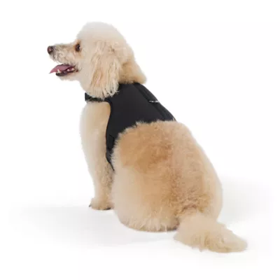 Top Paw® Neoprene Vest Dog Harness - Image 1