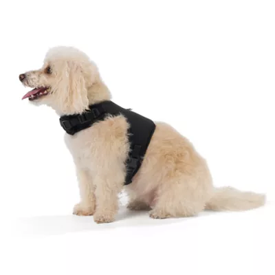 Top Paw® Neoprene Vest Dog Harness - Image 2