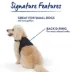 Top Paw® Neoprene Vest Dog Harness image thumbnail 7