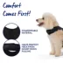 Top Paw® Neoprene Vest Dog Harness image thumbnail 4