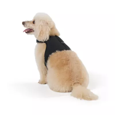 Top Paw® Neoprene Vest Dog Harness - Image 1