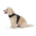 Top Paw® Neoprene Vest Dog Harness image thumbnail 2