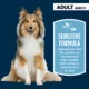 Product Authority Sensitive Stomach & Skin Adult Dry Dog Food - Chicken & Rice
