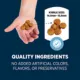 Product Authority Sensitive Stomach & Skin Adult Dry Dog Food - Chicken & Rice