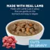 Authority Sensitive Stomach & Skin Cuts in Gravy Adult Wet Dog Food - Lamb, 13 oz image thumbnail 3