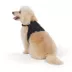 Top Paw® Neoprene Vest Dog Harness image thumbnail 1