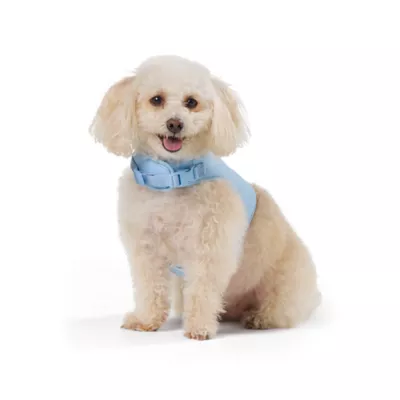 Top Paw® Neoprene Vest Dog Harness - Image 2