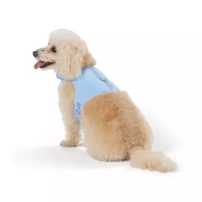 Product Top Paw® Neoprene Vest Dog Harness, Light Blue